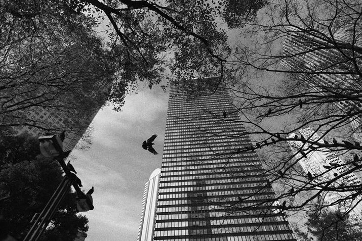 ~܂Ă߁AԂƂ\ċԂJč\}B^C~O悭łꂽ߁A1C̒ۗĂȂBe邱ƂłLUMIX S5ALUMIX S 18mm F1.8AF2.5A1/1300bAISO100AWBFVAtHgX^CFL.mN[Di jBeʐ^i6000×4000A14.6MBj