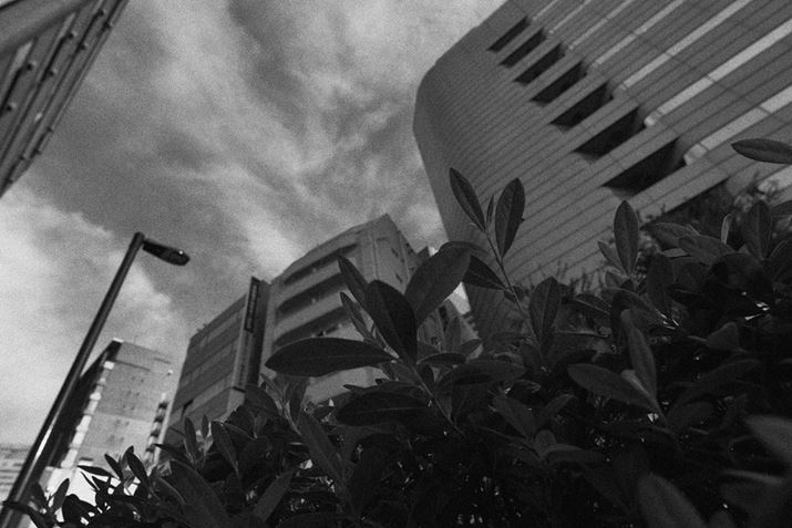 OɐĂtςɂƋ߂ÂĎBesĂB߂Â΋߂ÂقǉߊłB̃rtς̂ق傫ʂ邽߁A_Ci~bNȎʐ^ɎdオLUMIX S5ALUMIX S 18mm F1.8AF2.5A1/1300bAISO100AWBFVAtHgX^CFL.mN[Di jBeʐ^i6000×4000A14.6MBj