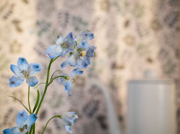 ԂɃsg킹ʐ^Bwi傫{PĂBsg͈̍͂ԂB܂AʊE[x󂢂ƂƂ