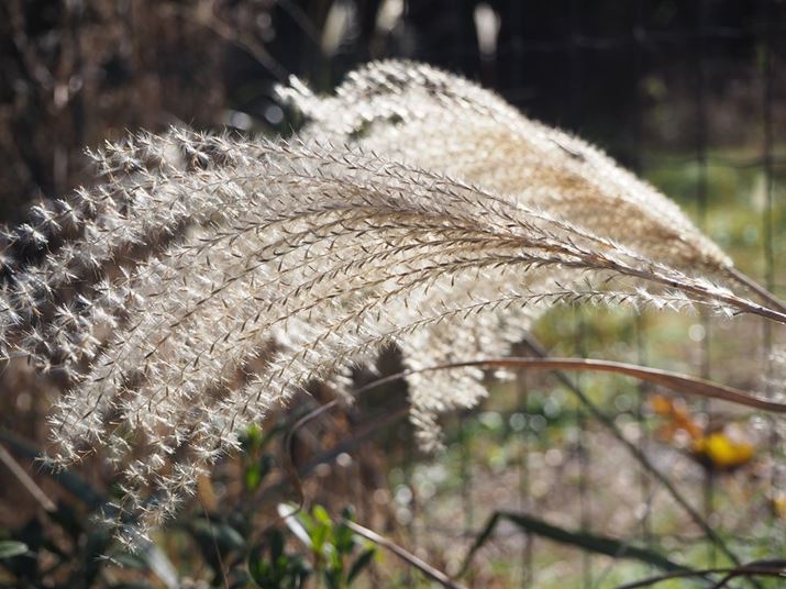 œ_35mmi35mmZ70mmjAilF5.6ɂBe