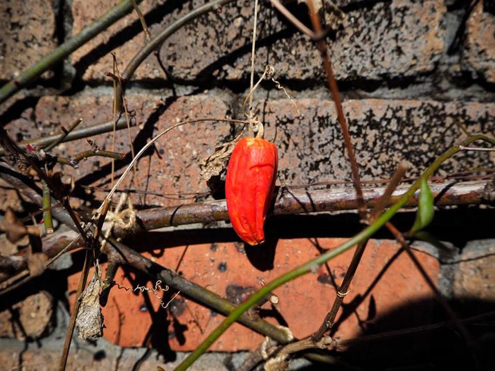 œ_14mmAilF3.5ɂāA΂ĎBe