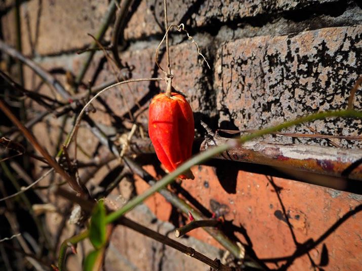 œ_14mmi35mmZ28mmjAilF3.5ɂāA΂߉Be