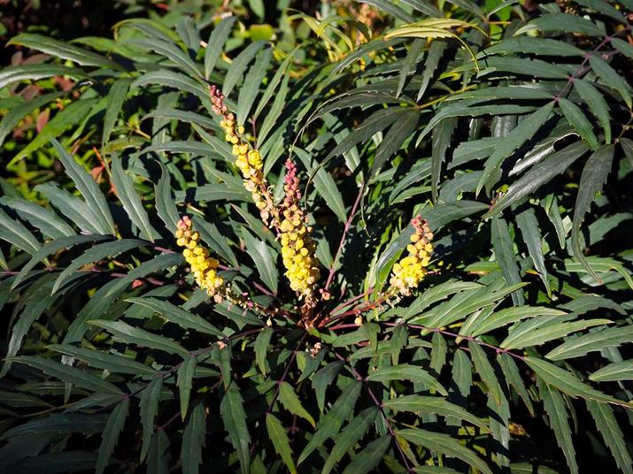 PEN E-P7AM.ZUIKO DIGITAL ED 14-42mm F3.5-5.6 EZAiDAEA32mmi35mmZ64mmjAF5.3A1/500bAISO200AzCgoXFI[gAdオݒFVividBeʐ^i5184×3888A10.8MBj