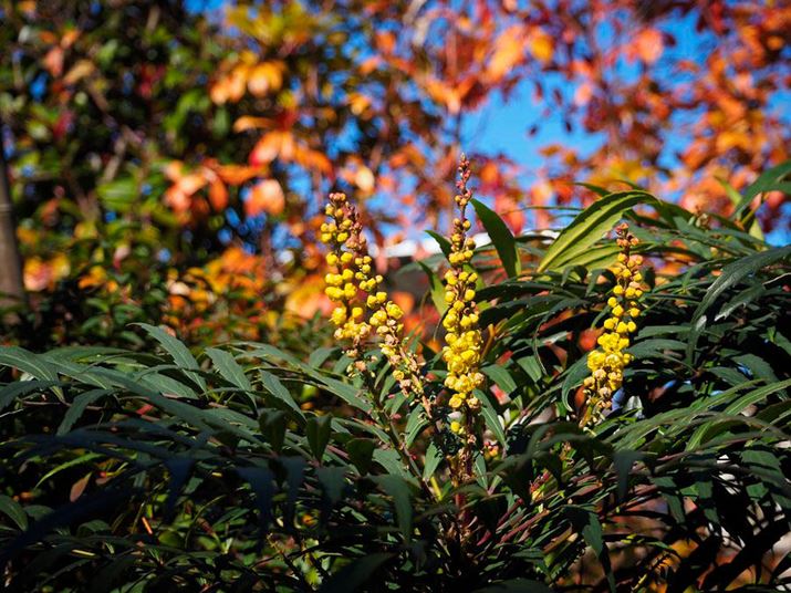 PEN E-P7AM.ZUIKO DIGITAL ED 14-42mm F3.5-5.6 EZAiDAEA32mmi35mmZ64mmjAF5.3A1/800bAISO200AzCgoXFI[gAdオݒFVividBeʐ^i5184×3888A10.8MBj