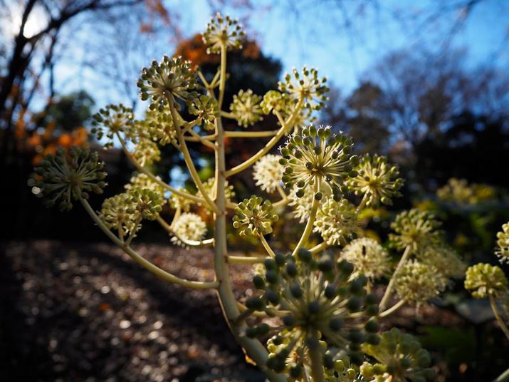 PEN E-P7AM.ZUIKO DIGITAL ED 14-42mm F3.5-5.6 EZAiDAEA14mmi35mmZ28mmjAF3.5A1/1000bAISO200AzCgoXFI[gAdオݒFVividBeʐ^i4608×3456A9.0MBj