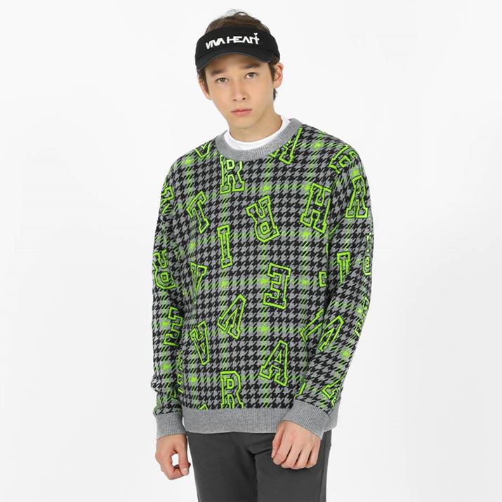 J[͎ʐ^̃O[̂قAx[Wp