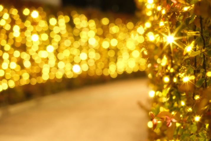 ʘHA݂ɊꂽCȂC~l[VAuPRO1D R-gDCNEX^[8XiWjvʂƁAт₩ɎB