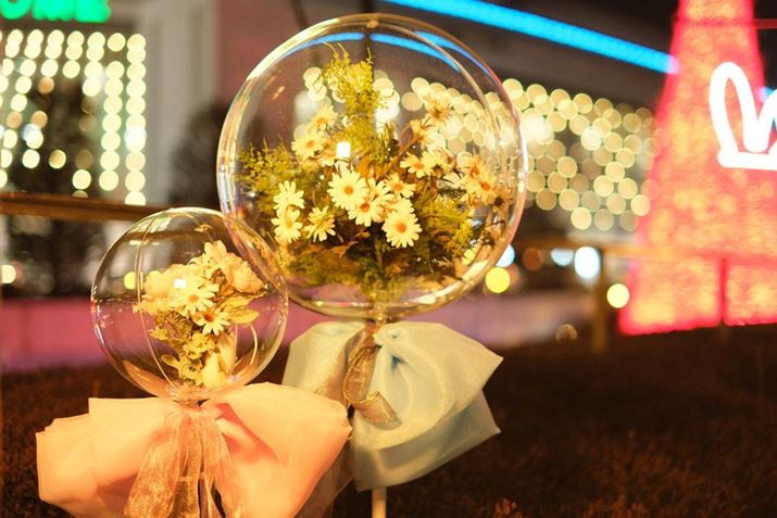 LƓʑ̂AtB^[g킸ɎBeʐ^