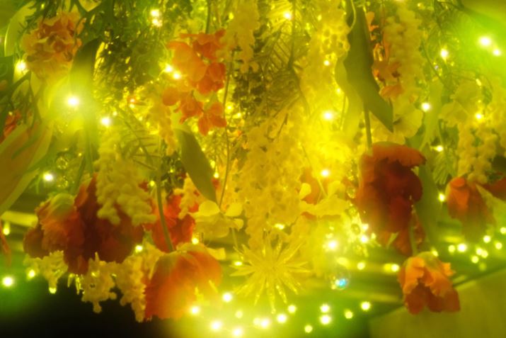 ̍ł́AɏЉA}~@̃\tgtB^[uDHGtHM[ \tgvd˕tB悤ȌʂAmX^WbNȕ͋C