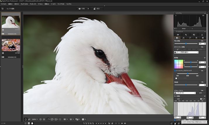 Lm̏RAW\tguDigital Photo Professionalv