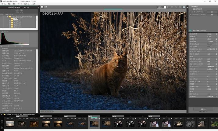 xmtĆAЂƂ̏RAW\tguX RAW STUDIOvBuRAW FILE CONVERTER EX 3.0 powered by SILKYPIXvƂ͕ʂ̃\tgŁAUSB RAWɓĂ܂