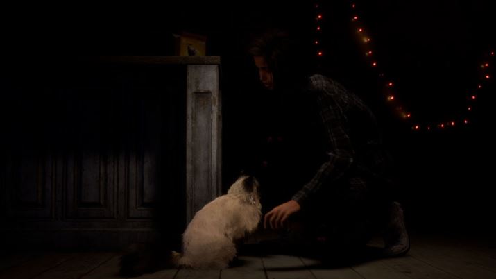 {̎l̓j[[Nŕ炷LD̏tCEz[h