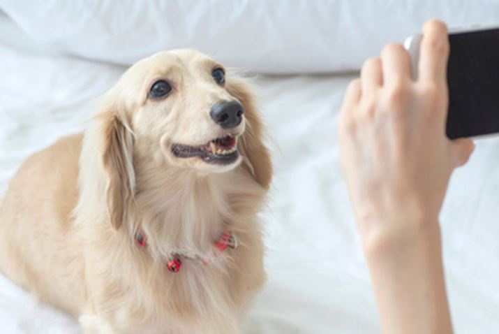 ]J́Aʑ̂狗Ƃ邱ƂŎRȕ\\}ŎBe\łBBe̕Lł傤