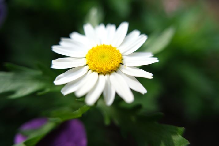 X-H2A18-50mm F2.8 DC DNA18mmi35mmZ27mmjAISO400AF2.8A1/950bAzCgoXFI[gi͋CDjAtBV~[VFPROVIA/X^_[hBeʐ^i7728×5152A16.1MBj