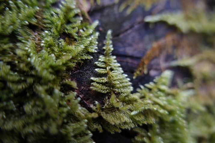 X-H2A18-50mm F2.8 DC DNA18mmi35mmZ27mmjAISO125AF2.8A1/60bAzCgoXFI[gi͋CDjAtBV~[VFPROVIA/X^_[hBeʐ^i7728×5152A16.9MBj