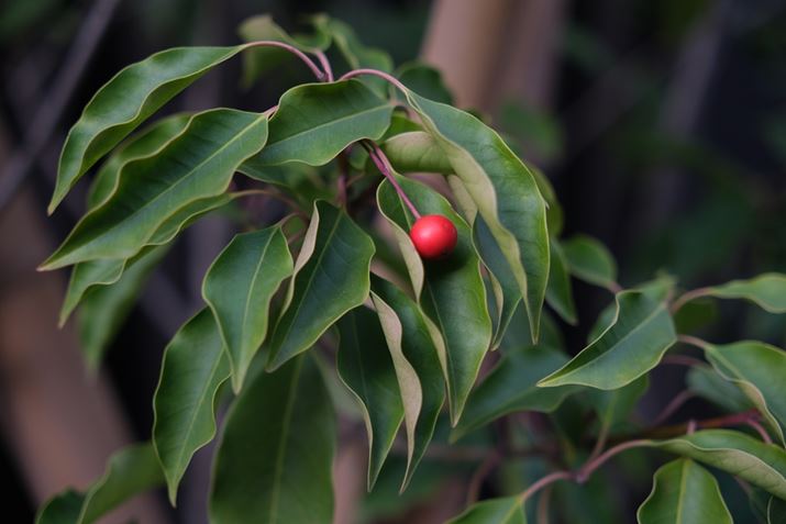 X-H2A18-50mm F2.8 DC DNA36mmi35mmZ54mmjISO125AF2.8A1/300bAzCgoXFAUTOAtBV~[VFPROVIA/X^_[hBeʐ^i7728×5152A16.1MBj