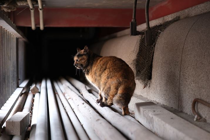 X-H2A18-50mm F2.8 DC DNA50mmi35mmZ76mmjAISO400AF2.8A1/15bAzCgoXFAUTOAtBV~[VFPROVIA/X^_[hBeʐ^i7728×5152A18.5MBj