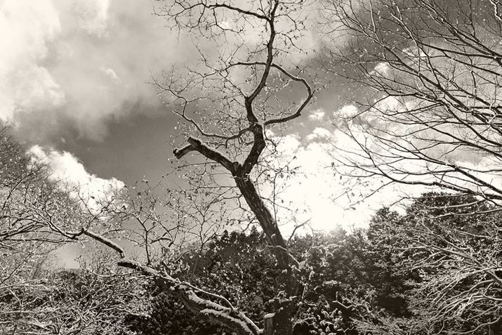 GR IIIAiDAEAF2.8A1/800bAISO100A+0.7EVAzCgoXFFuAC[WRg[Fmg[A28mmBeʐ^i6000×4000A13.2MBj