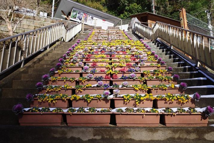 ܓc̑IāA܂Ŗ߂ĂƂɌԂłꂽn[ǧ`BɌƂ͐ԂĂċCÂ܂łBܓc̑͗̃p[X|bgłA̐nłGR IIIAvOAEAF5.6A1/640bAISO400A+0.3EVAzCgoXFzAC[WRg[FrrbhA28mmBeʐ^i6000×4000A13.1MBj