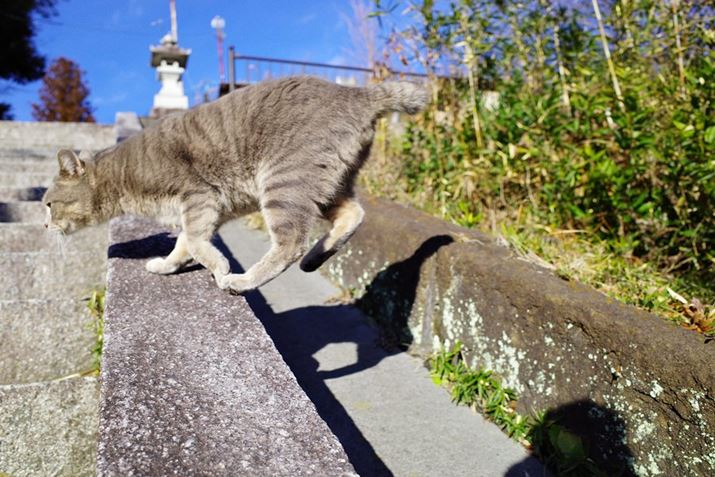 GR IIIAvOAEAF3.2A1/1600bAISO200A-0.3EVAzCgoXFI[gAC[WRg[FrrbhBeʐ^i6000×4000A9.9MBj