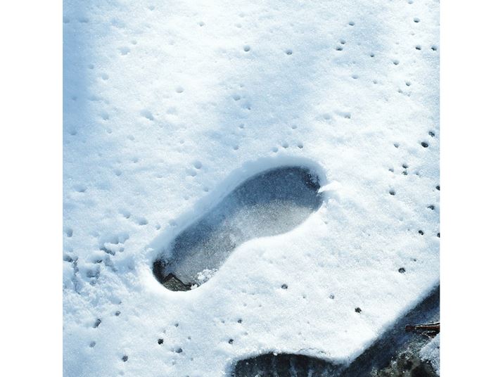 GR IIIAiDAEAF2.8A1/2500bAISO400A+1.7EVAzCgoXFzAC[WRg[FlKtBA50mmBeʐ^i2240×2240A2.7MBj