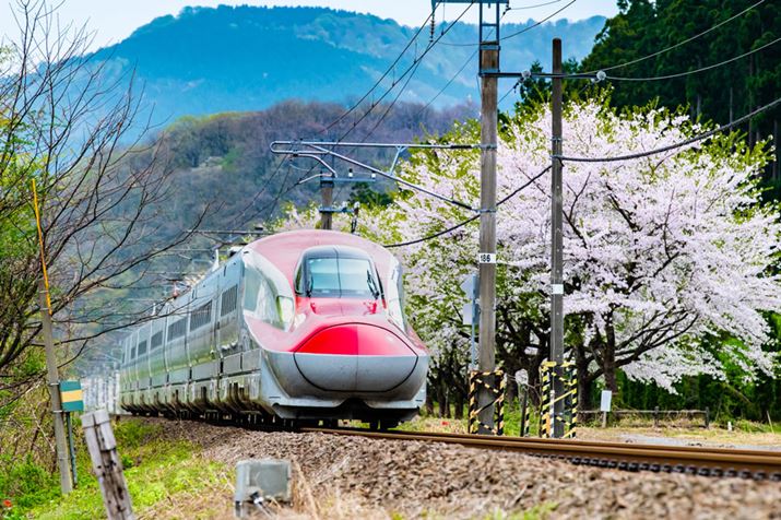 Vg̈ړłgNɂȂ̂AJReЂ̗D҂̖͂ł