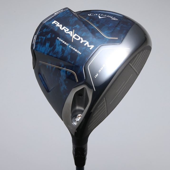 \[̃J[{͗lڂ܂AfUĈ̓VvȎdオ