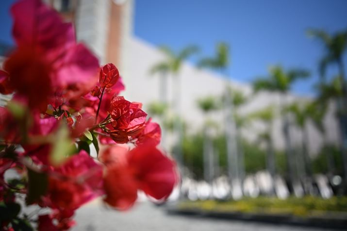 u[QrẢԂŒZBe̍iJŎBeĂ݂Bsgʒu̓V[vŁA傫Ă炩wi{PꂽZ 6IIANIKKOR Z 26mm f/2.8AF2.8A1/600bAISO100AWBFI[g1AsN`[Rg[FI[gAANeBuD-CeBOFȂABlbgRg[FȂA䂪ݕ␳FAܕ␳FABeFcWiBeʐ^i6048×4024A8.7MBj