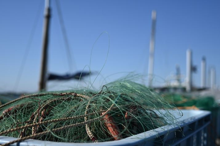 Ԃׂ̍Ă˂ɕ`ʂłĂ邤Awĩ{PZ fcANIKKOR Z 26mm f/2.8A35mmZ39mmAF2.8A1/3200bAISO100AWBFVAsN`[Rg[FX^_[hAANeBuD-CeBOFȂABlbgRg[FWA䂪ݕ␳FAܕ␳FABeFR~zBeʐ^i5568×3712A8.3MBj