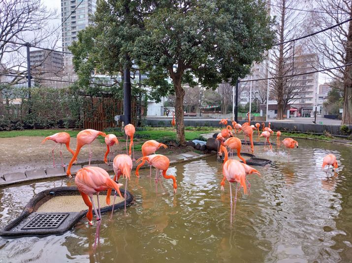 ܂̓BeBt~S̑N₩ȐF֒ɓɋ߂ۂŎBeĂB<br>Beʐ^F4096×3072A6.5MB