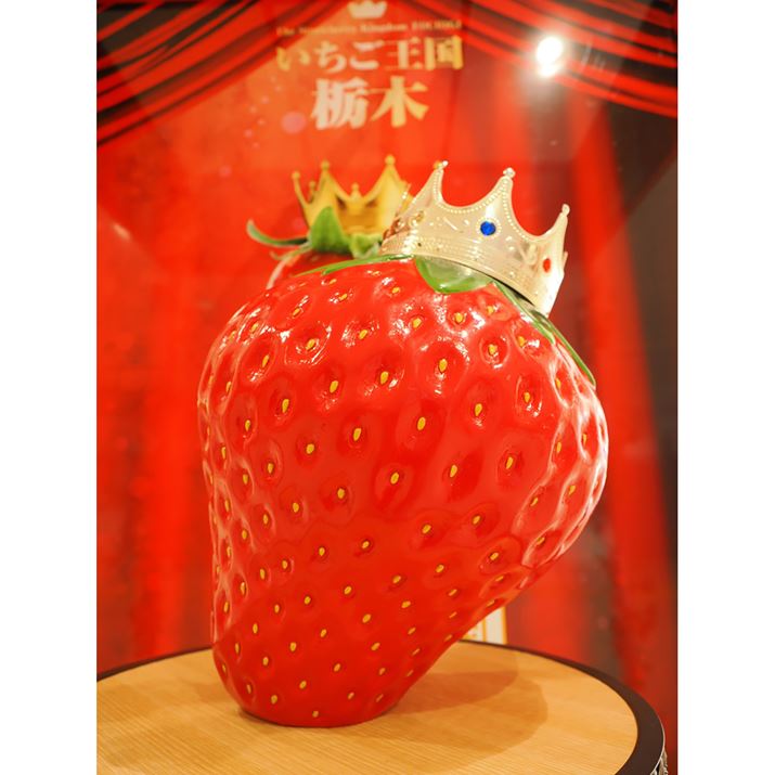 Fs{wɓI w\ł܂̓C`S̃IuWFo}Ă܂BȖ،̓C`SLłOM-1AM.ZUIKO DIGITAL ED 12-40mm F2.8 PRO IIA12mmi35mmZ24mmjAiDAEAF2.8A1/100bA+0.3EVAISO400AzCgoXFVAdオݒFVividBeʐ^i3888×5184A11.0MBj