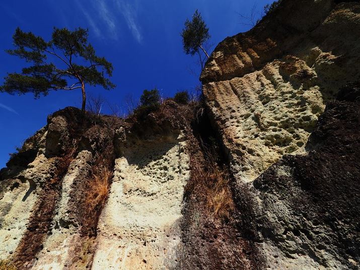 OM-1AM.ZUIKO DIGITAL ED 7-14mm F2.8 PROA7mmi35mmZ14mmjAvOAEAF8A1/500bA-0.3EVAISO200AzCgoXFVAdオݒF|bvA[gIIBeʐ^i5184×3888A12.9MBj