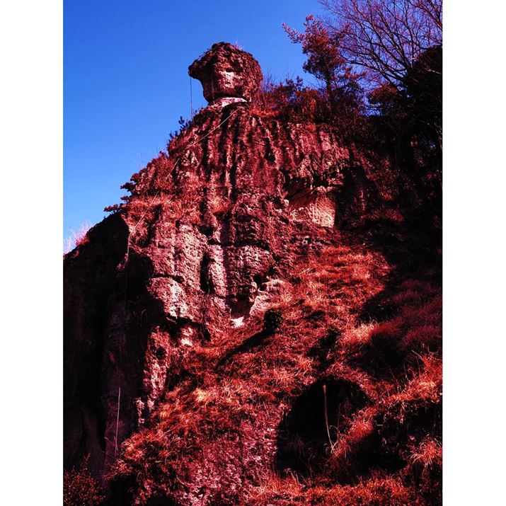 uV̓΁vƌĂ΂BV炪ď悹Ƃ`cłB̊̐Ɋω܂Ă܂OM-1AM.ZUIKO DIGITAL ED 12-40mm F2.8 PRO IIA7mmi22mmZ44mmjAiDAEAF8A1/250bA-0.3EVAISO200AzCgoXFVAdオݒFNXvZXIIBeʐ^i3888×5184A12.6MBj