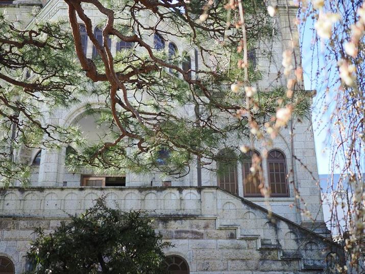 OM-1AM.ZUIKO DIGITAL ED 20mm F1.4 PROA20mmi35mmZ40mmjAiDAEAF1.4A1/2500bA+0.3EVAISO200AzCgoXFVAdオݒFVividBeʐ^i5184×3888A12.6MBj