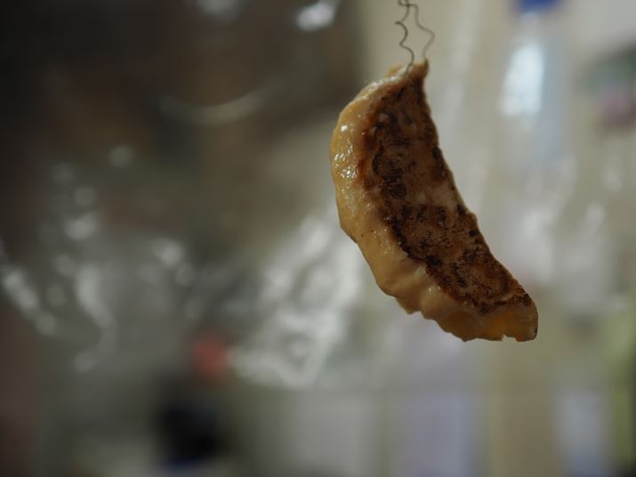 OM-1AM.ZUIKO DIGITAL ED 20mm F1.4 PROA20mmi35mmZ40mmjAiDAEAF1.4A1/125bA-0.3EVAISO200AzCgoXFVAdオݒFVividBeʐ^i5184×3888A11.7MBj