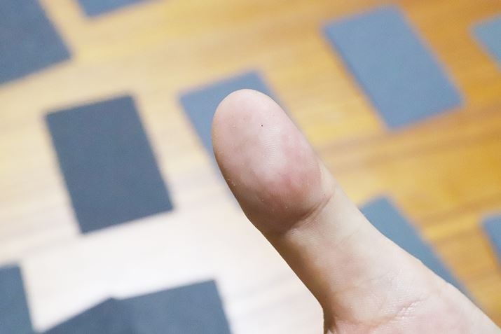 ʐ^ł͂킩Â炢łA2Q[قǗV񂾎_őw̕qĂ܂