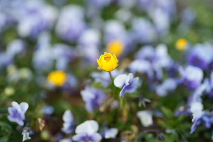 7 IVA50mm F1.4 DG HSMAISO100AF1.4A1/200bAzCgoXFI[gANGCeBubNFSTBeʐ^i7008×4672A16.9MBj