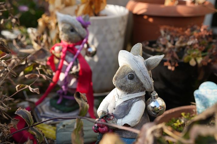 7 IVA50mm F1.4 DG DNAISO100AF4A1/250bAzCgoXFI[gANGCeBubNFSTBeʐ^i7008×4672A18.4MBj