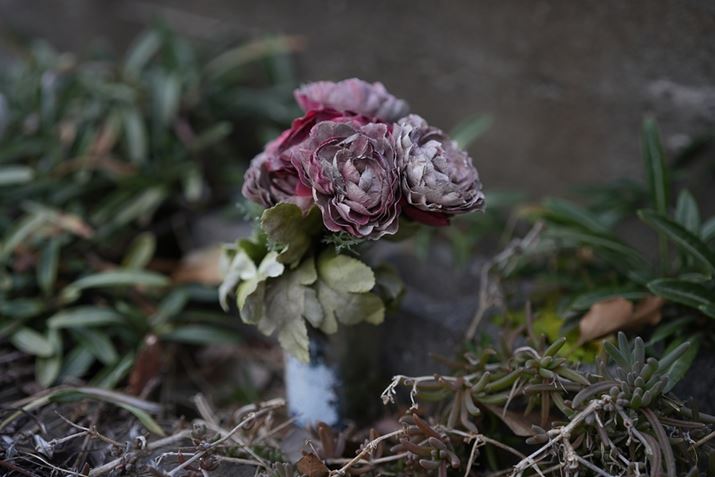 7 IVA50mm F1.4 DG DNAISO100AF2A1/200bAzCgoXFI[gANGCeBubNFSTBeʐ^i7008×4672A18.1MBj