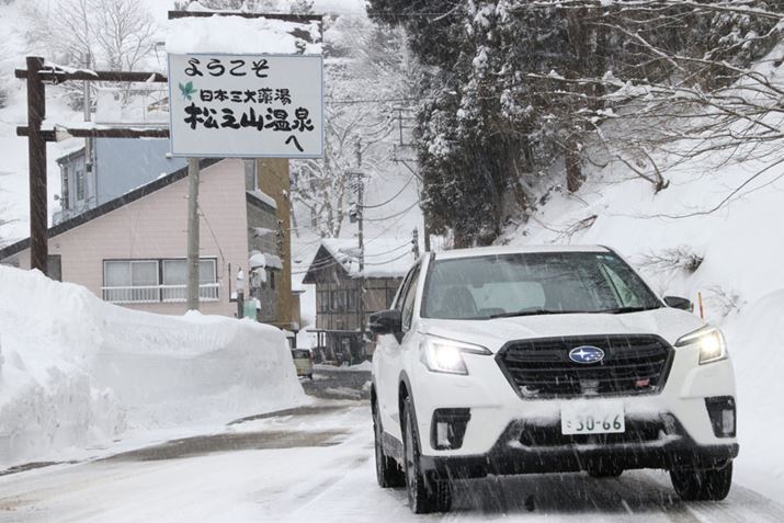 VRɂĎBeB2{őSIɐ͏ȂȂĂĂ̂́Aϐ̑VړInƂƂAɂutHX^[v̎͂̍𑶕ɖ키Ƃł