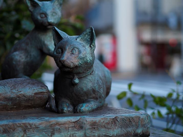 XŌL̑Bŝwi𗘗pĂ邪AF1.8̊Jil𗘗p邱ƂŁȂ炩ɂڂāAȎ𕂂オ点ĂBmȃtHŕ`ʂłĂ̂|CgBLpYgp̂悤Șc݂͂ȂPEN E-P7AM.ZUIKO DIGITAL 45mm F1.8A45mmi35mmZ90mmjAiDAEAF1.8A1/320bAISO200AzCgoXFI[gAdオݒFVividBeʐ^i5184×3888A8.6MBj