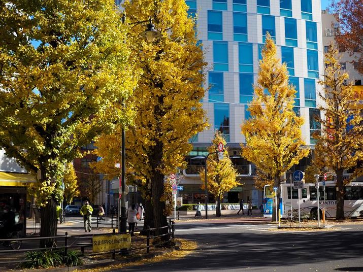 uM.ZUIKO DIGITAL 25mm F1.8vŎBeBiJF1.8ɐݒ肵AO̎؂Ƀsg킹Ă邪AȊO̎؂≜̌ɂLsgĂ悤ɌB̓sg킹؂ƃJ̋Ă邱Ƃ傫ȗvPEN E-P7AM.ZUIKO DIGITAL 25mm F1.8A25mmi35mmZ50mmjAiDAEAF1.8A1/3200bA ISO200AzCgoXFI[gAdオݒFJ[vt@CBeʐ^i5184×3888A16.1MBj