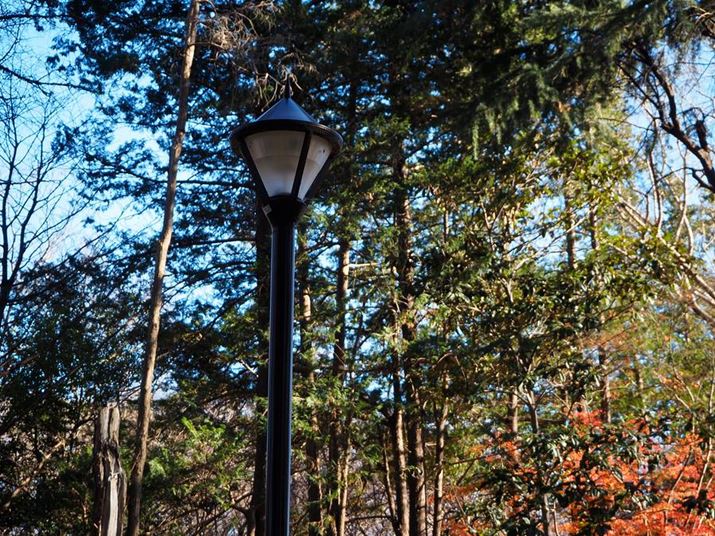 ЂƂBł͕WY[YuM.ZUIKO DIGITAL ED 14-42mm F3.5-5.6 EZvgA][ōiF5.6܂ŊJĎBeAقǑ_ʂɔwi̓{PĂȂB̕WY[YŔwi{Po΁AO̊XƃJ̋Ƌ߂ÂȂ΂ȂPEN E-P7AM.ZUIKO DIGITAL ED 14-42mm F3.5-5.6 EZA42mmi35mmZ84mmjAiDAEAF5.6A1/125bA ISO200AzCgoXFI[gAdオݒFVividBeʐ^i5184×3888A16.0MBj