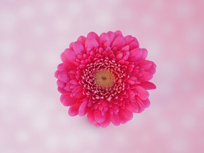 uM.ZUIKO DIGITAL 45mm F1.8vgAŒZBeŎBeBi͊JF1.8ɂBwi{PB^ɉs邱ƂŁA{P傫ȂĂB̃Ył͂܂ŊĎB邪AƋ߂ÂĉԂׂ̂ԂтB肽ꍇ́A}NY֗PEN E-P7AM.ZUIKO DIGITAL 45mm F1.8A45mmi35mmZ90mmjAiDAEAF1.8A1/30bAISO800AzCgoXF4000KAdオݒFJ[vt@CBeʐ^i5184×3888A6.8MBj