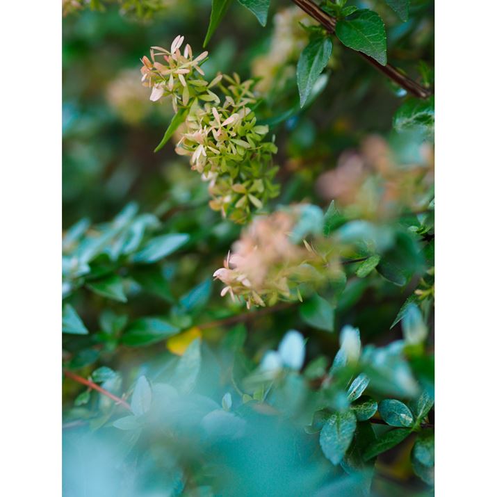 ȏȐAłO{Pŕ\łBO{P邱ƂŁAʐ^ɗ̓I܂PEN E-P7AM.ZUIKO DIGITAL 45mm F1.8A45mmi35mmZ90mmjAiDAEAF2A1/200bAISO400AzCgoXF7500KAdオݒFVividBeʐ^i3888×5184A10.3MBj