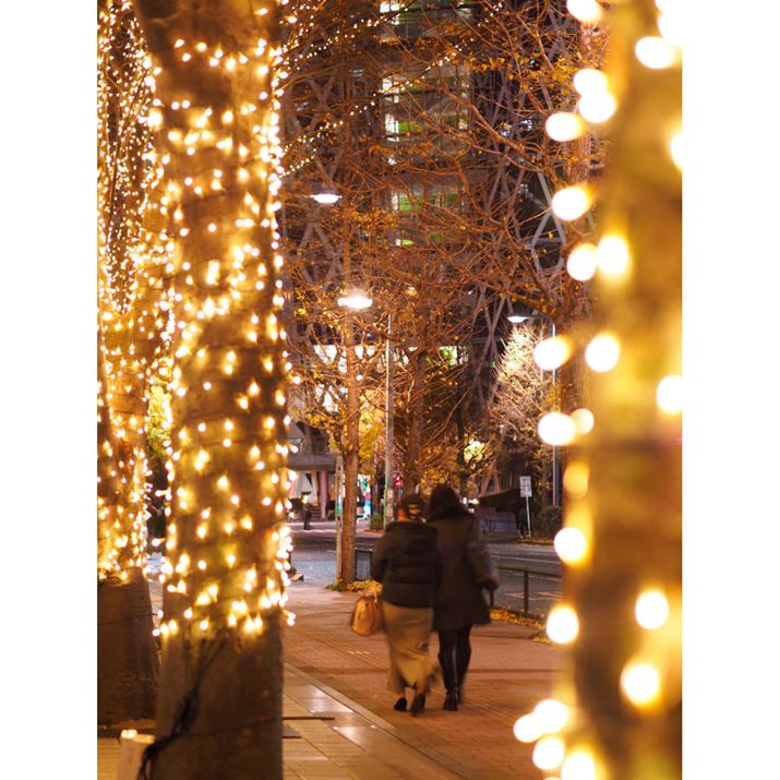 ̍ɑ΂AÕC~l[V班ĎBĂ݂BO{PȂĂPEN E-P7AM.ZUIKO DIGITAL 45mm F1.8A45mmi35mmZ90mmjAiDAEAF1.8A1/13bAISO400AzCgoXF4000KAdオݒFVividBeʐ^i3888×5184A12.3MBj