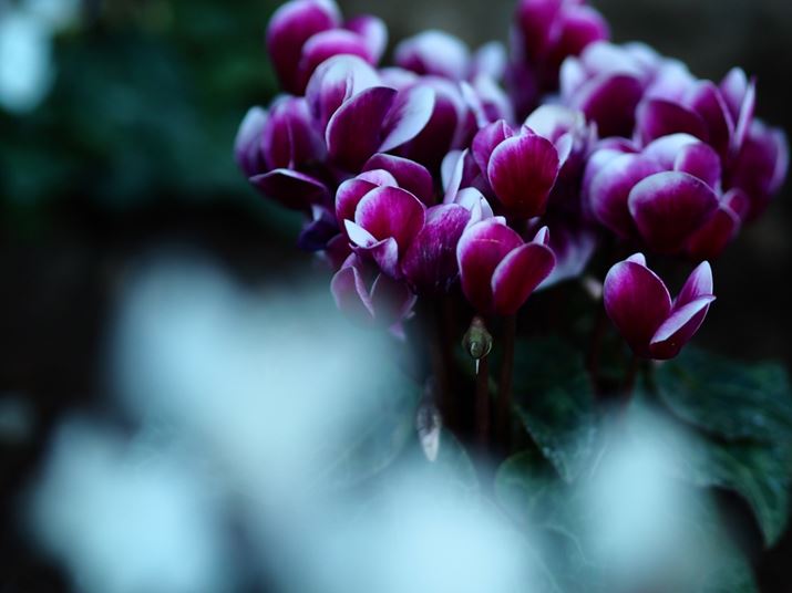 PEN E-P7AM.ZUIKO DIGITAL 45mm F1.8A45mmi35mmZ90mmjAiDAEAF1.8A1/400bAISO400AzCgoXF7500KAdオݒFJ[vt@CBeʐ^i5184×3888A7.4MBj