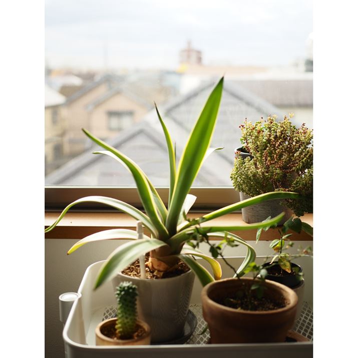 PEN E-P7AM.ZUIKO DIGITAL 25mm F1.8A25mmi35mmZ50mmjAiDAEAF2A1/800bAISO200AzCgoXF6000KAdオݒFJ[vt@CBeʐ^i3888×5184A8.0MBj