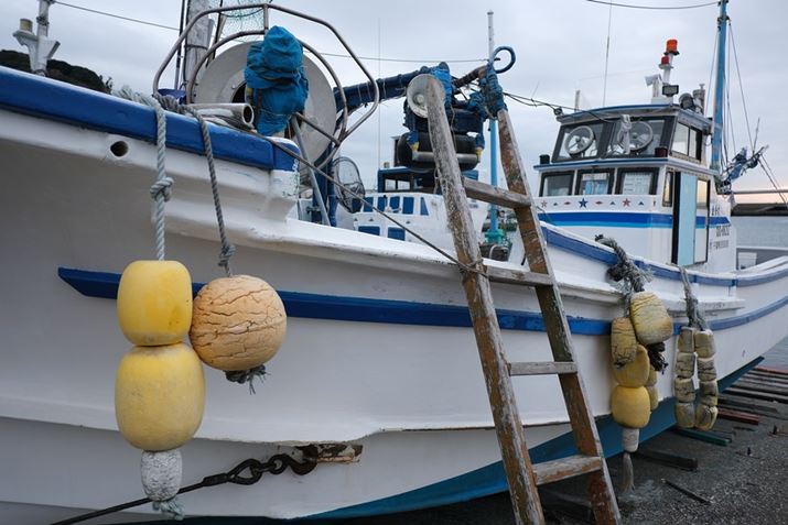 X-H2AXF18mmF2 RA18mmi35mmZ27mmjAISO125AF2.8A1/320bAzCgoXFI[gi͋CDjAtBV~[VFPROVIA/X^_[hBeʐ^i7728×5152A17.9MBj