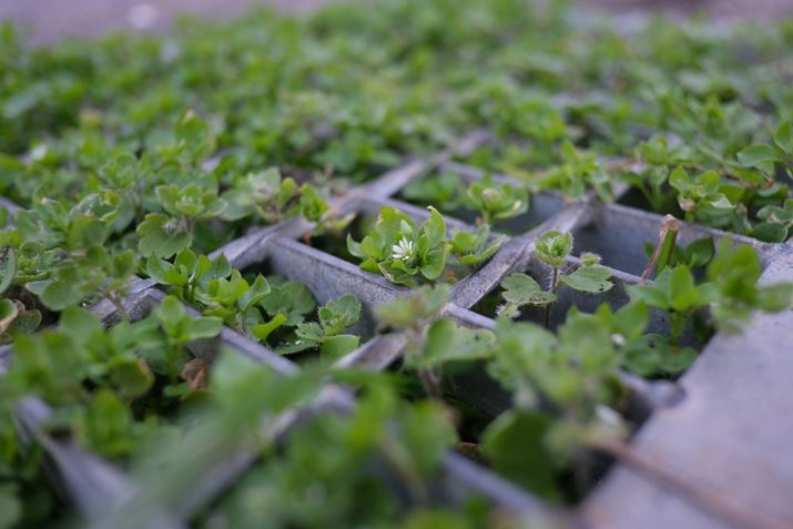 X-H2AXF18mmF2 RA18mmi35mmZ27mmjAISO400AF2.8A1/125bAzCgoXFI[gi͋CDjAtBV~[VFPROVIA/X^_[hBeʐ^i7728×5152A18.2MBj